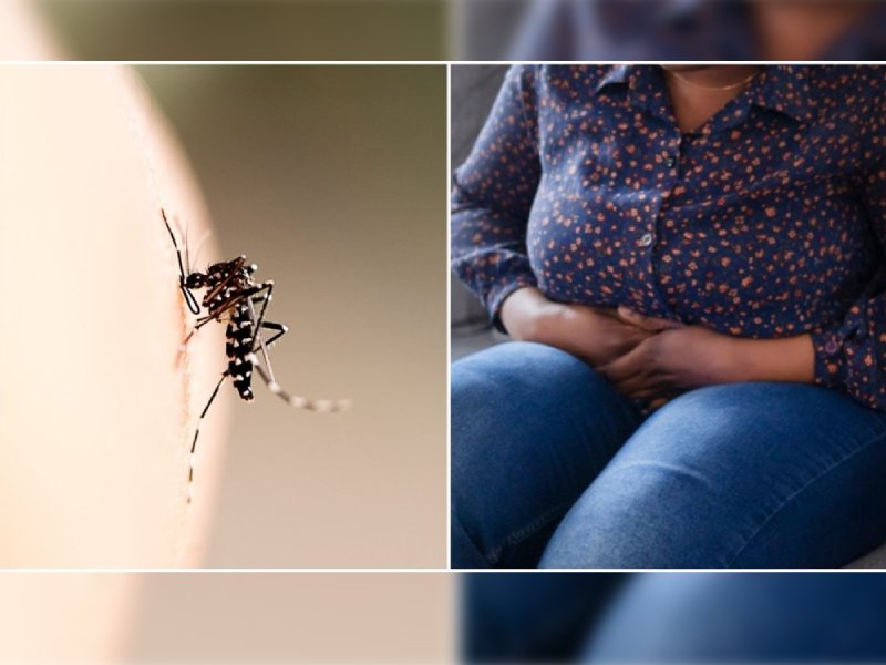 Recomienda SESA acudir a los centros de salud y no automedicarse en caso de dengue