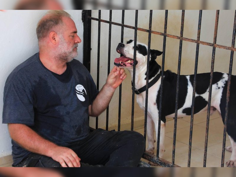 Inauguran Centro de Bienestar Animal en Playa del Carmen