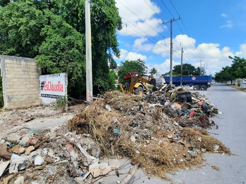 Detectan 18 zonas de riesgo por dengue en Cancún, reforzarán la descacharrización