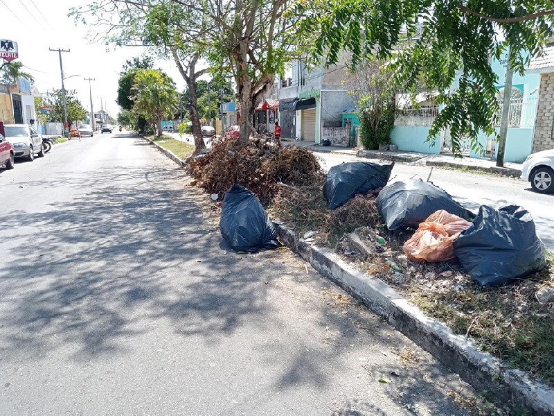 Crecimiento poblacional de Chetumal genera más desperdicios