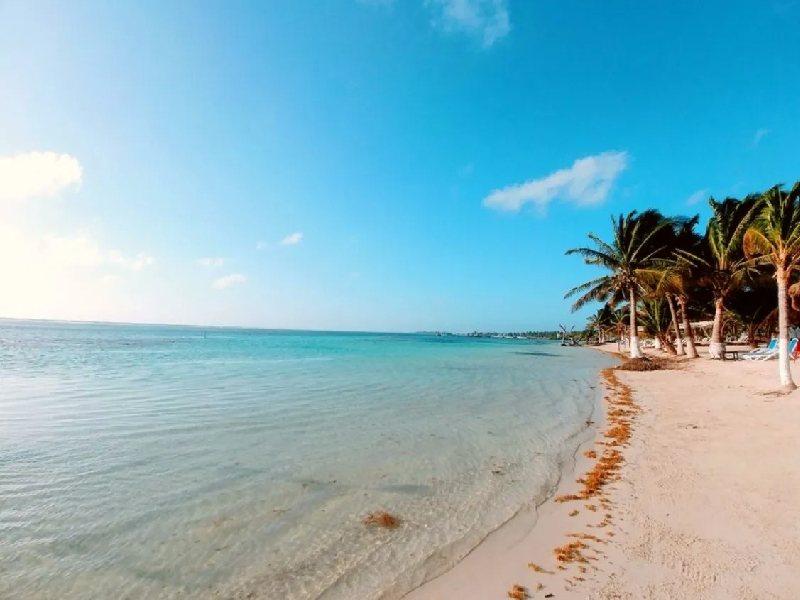 Retiran hasta 50 toneladas de sargazo cada día en Mahahual