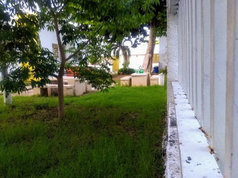 Apresuran ampliación de barda en la CAT tras fuga de menores en Cancún