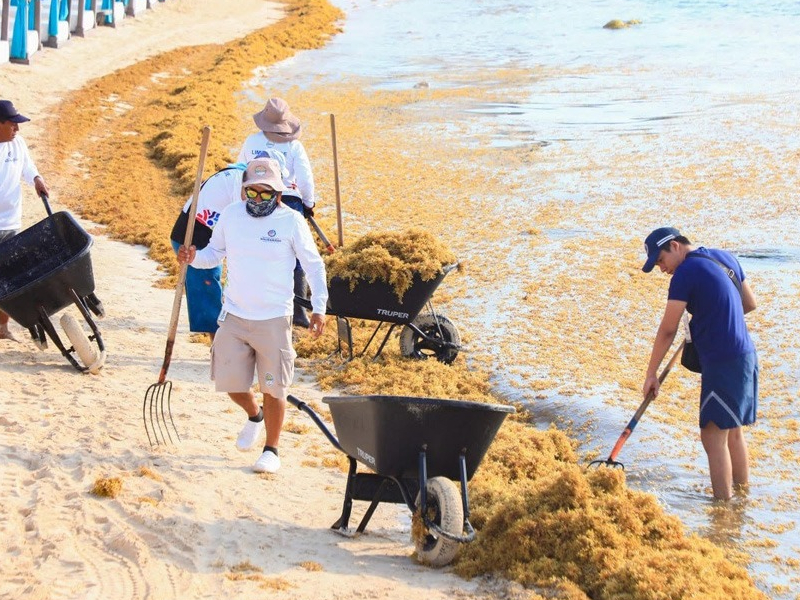 arena de playas de Solidaridad