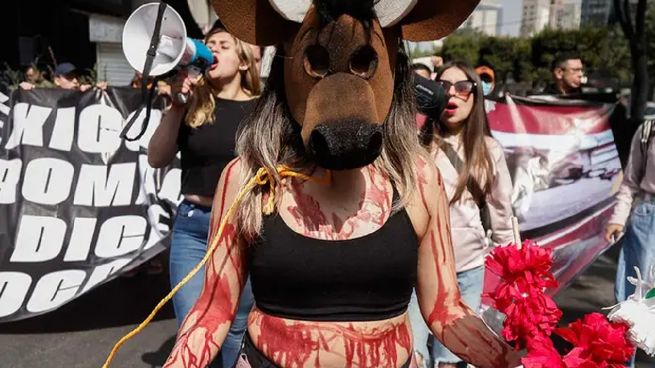 Protestan, las corridas de toros regresan a Ciudad de México tras la revocación de una suspensión.