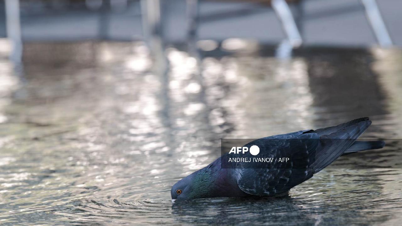 Nunca había hecho tanto calor en Montreal el 27 de febrero (15°C) desde que se llevan el registros.