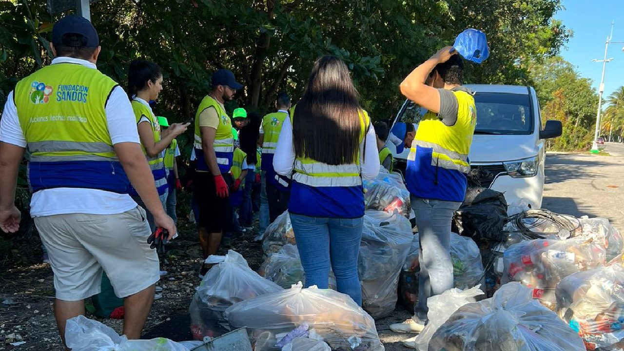 Lo que más hallan en los manglares son botellas de plástico, unicel y llantas, entre otros.