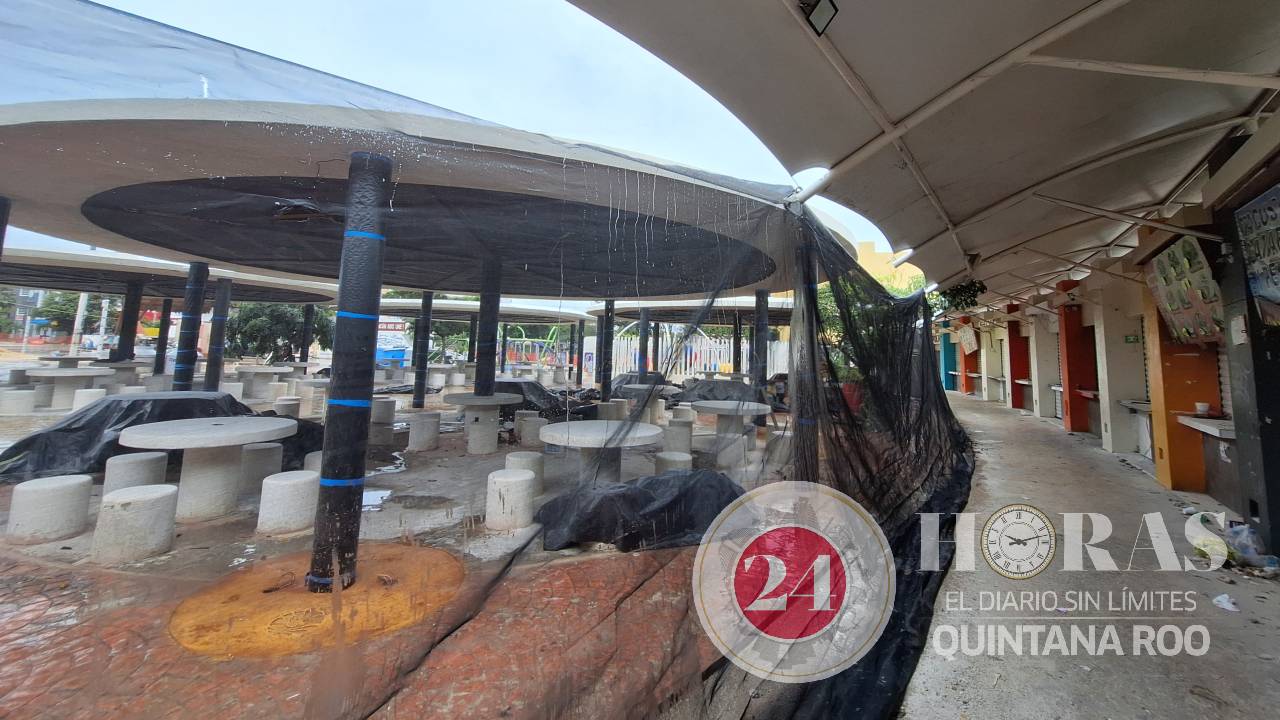 Prevén que en tres semanas más se pueda reinagurar el Parque de las Palapas.