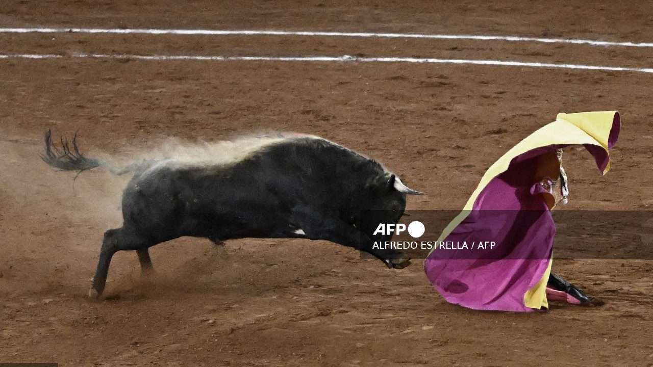 Al parece, el torero sufrió una fractura en el cráneo y afectaciones en ojo, mandíbula, oído y cuello.