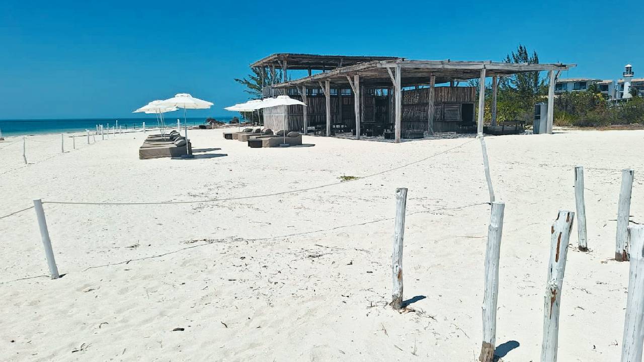 Denuncian construcción de bar que afecta la zona de anidación de tortugas en Holbox.
