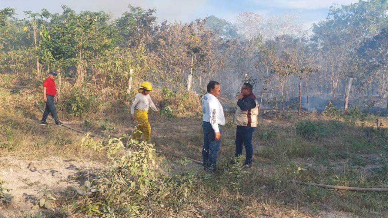 En diversas comunidades de OPB han sido sofocadas cinco quemas que han afectado más de 300 hectáreas de área verde.