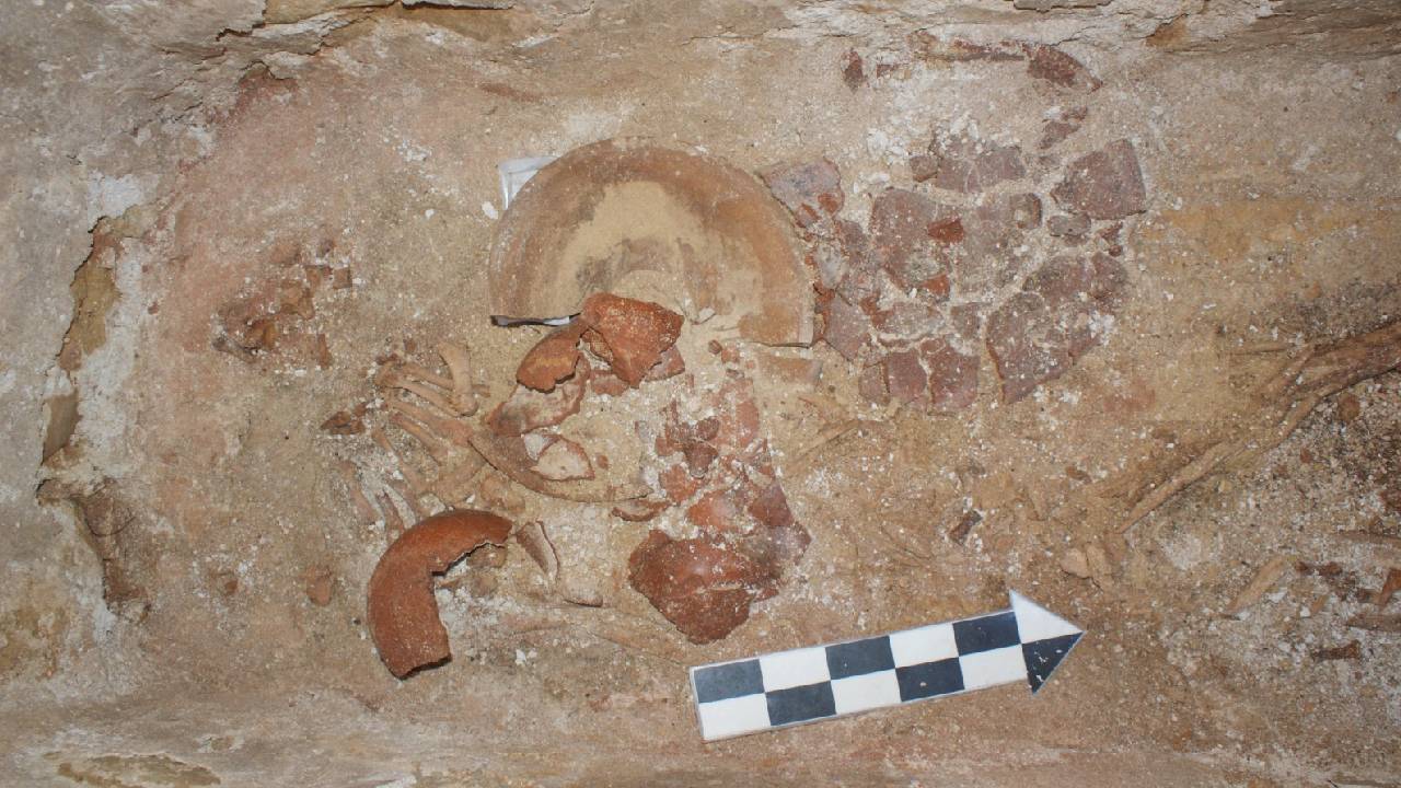 Hallazgo de piezas arqueológicas en la ruta del Tren Maya en Palenque, Chiapas.