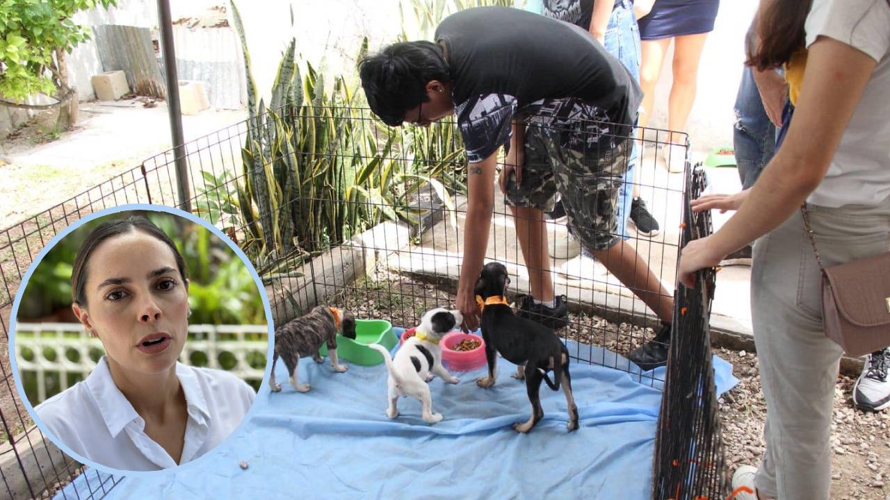 La alcaldesa Ana Paty Peralta da detalles sobre el nuevo Centro de Bienestar Animal.