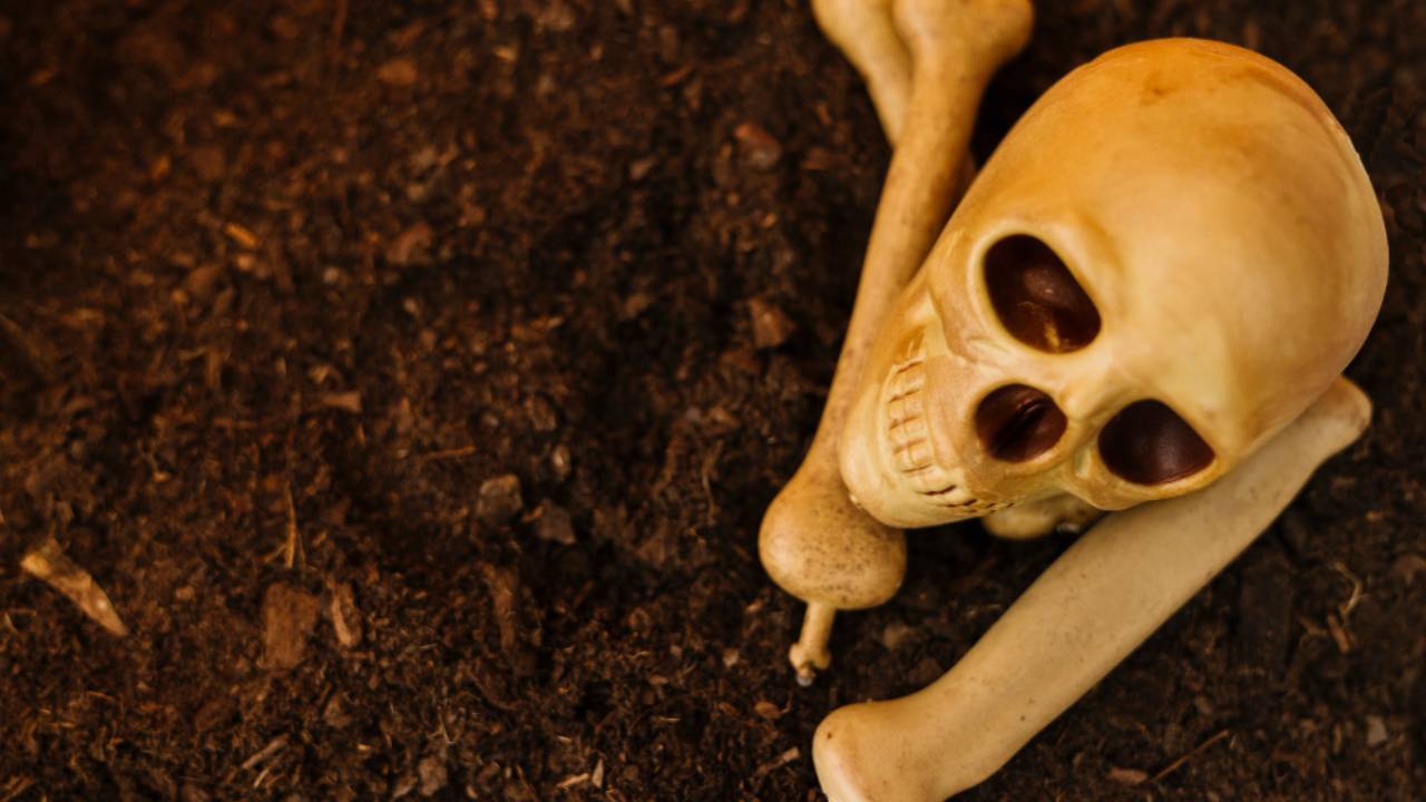 Calavera para ilustrar la exhumación de huesos humanos.