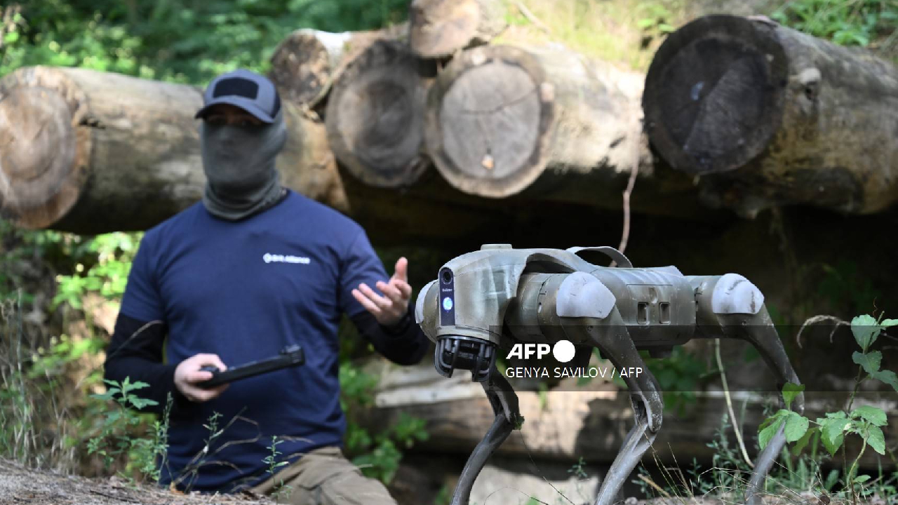 Los perros robot ya son una realidad.