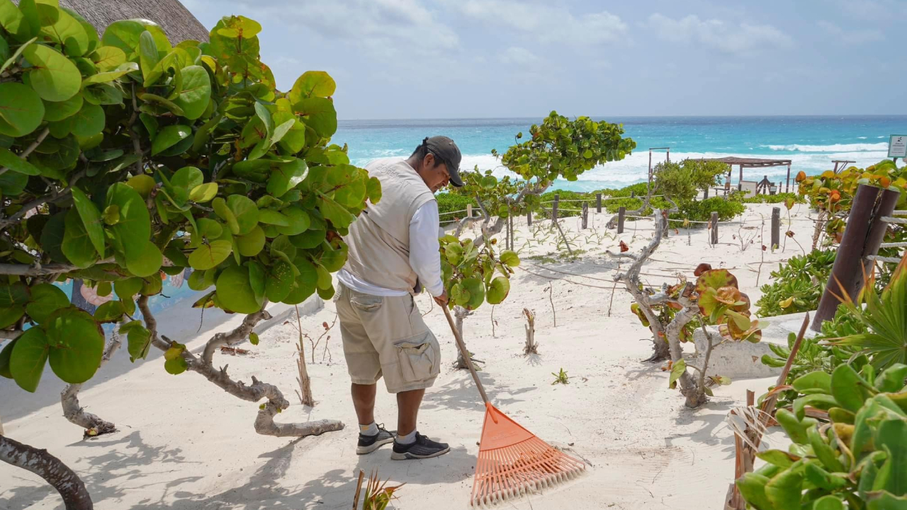 Limpieza de una playa en Cancún.