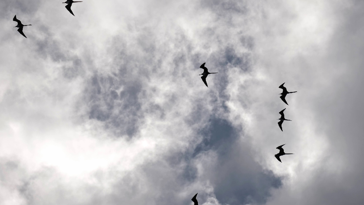 El clima para hoy será caluroso con posibilidades de lluvias.