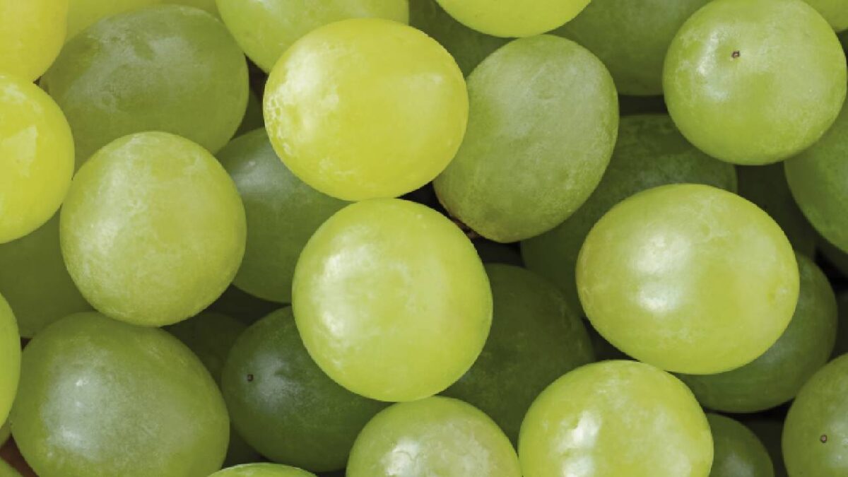 En Cancún se vende la uva más barata.