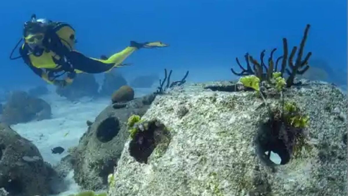 Quintana Roo cuida el medio ambiente.