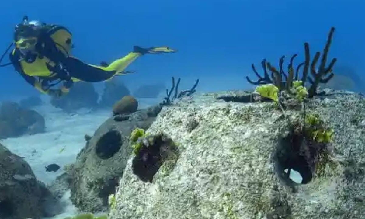 Quintana Roo cuida el medio ambiente.