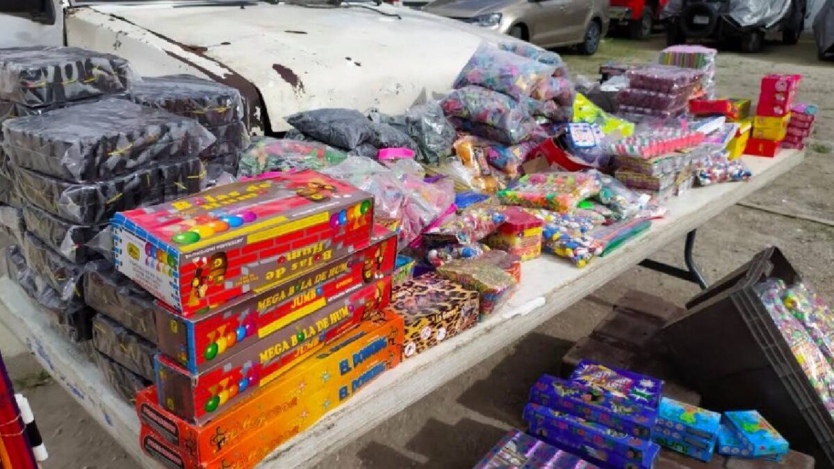 La pirotecnia afecta a las mascotas.