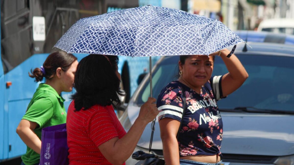 Últimas noticias. 2024: Año más caluroso en México, según expertos.