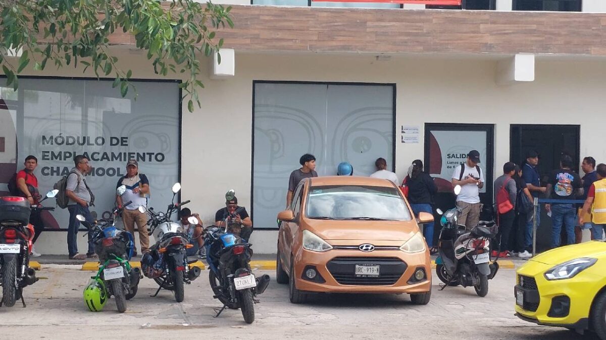 Aprovecha y realiza el refrendo vehicular.