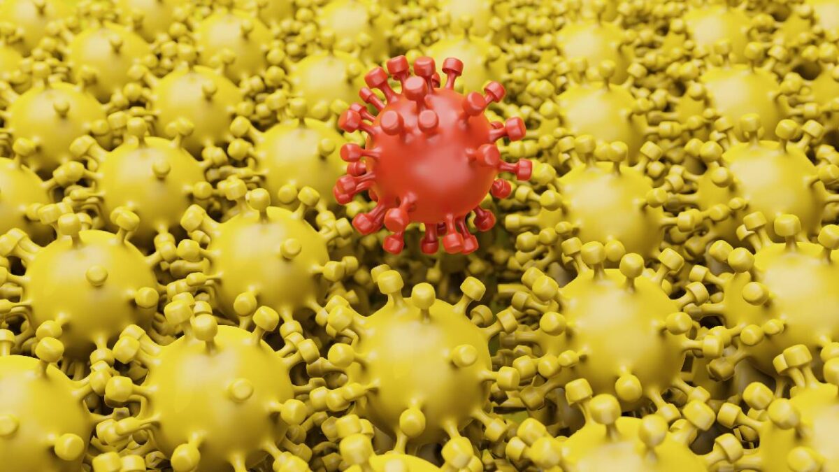 Alerta en México por virus H5N1.