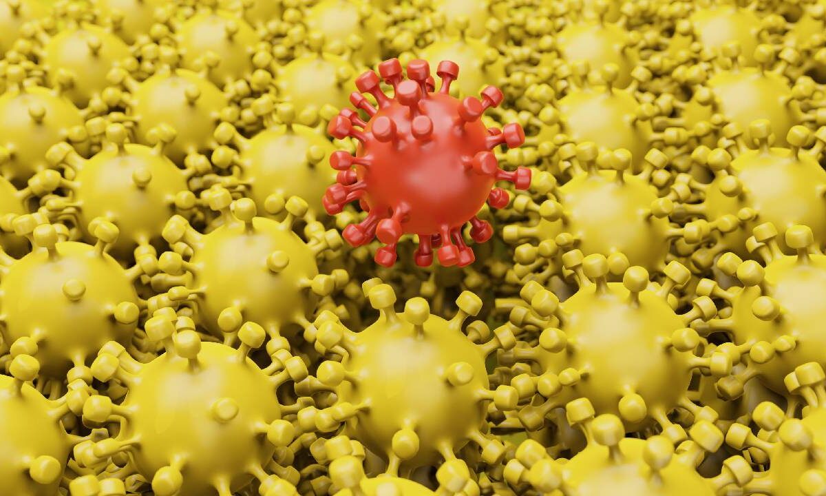 Alerta en México por virus H5N1.