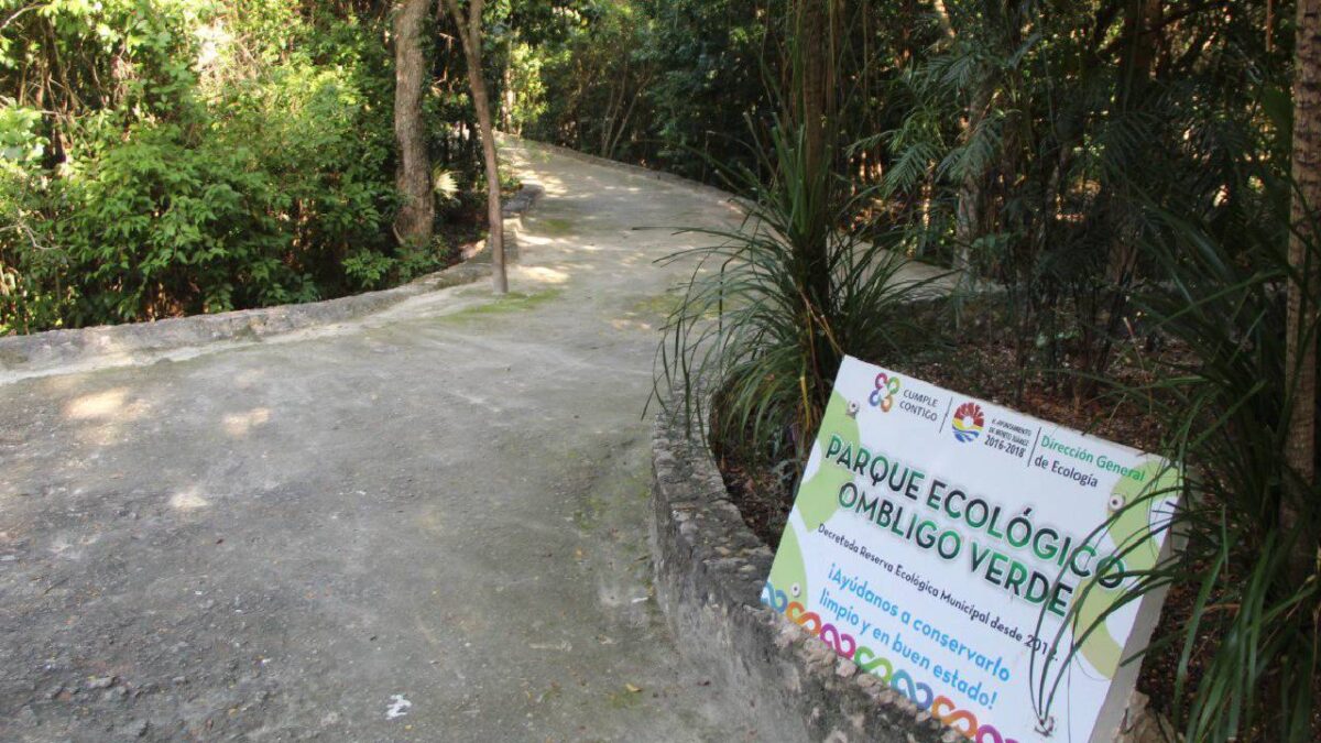 Cancún al día en medio ambiente.