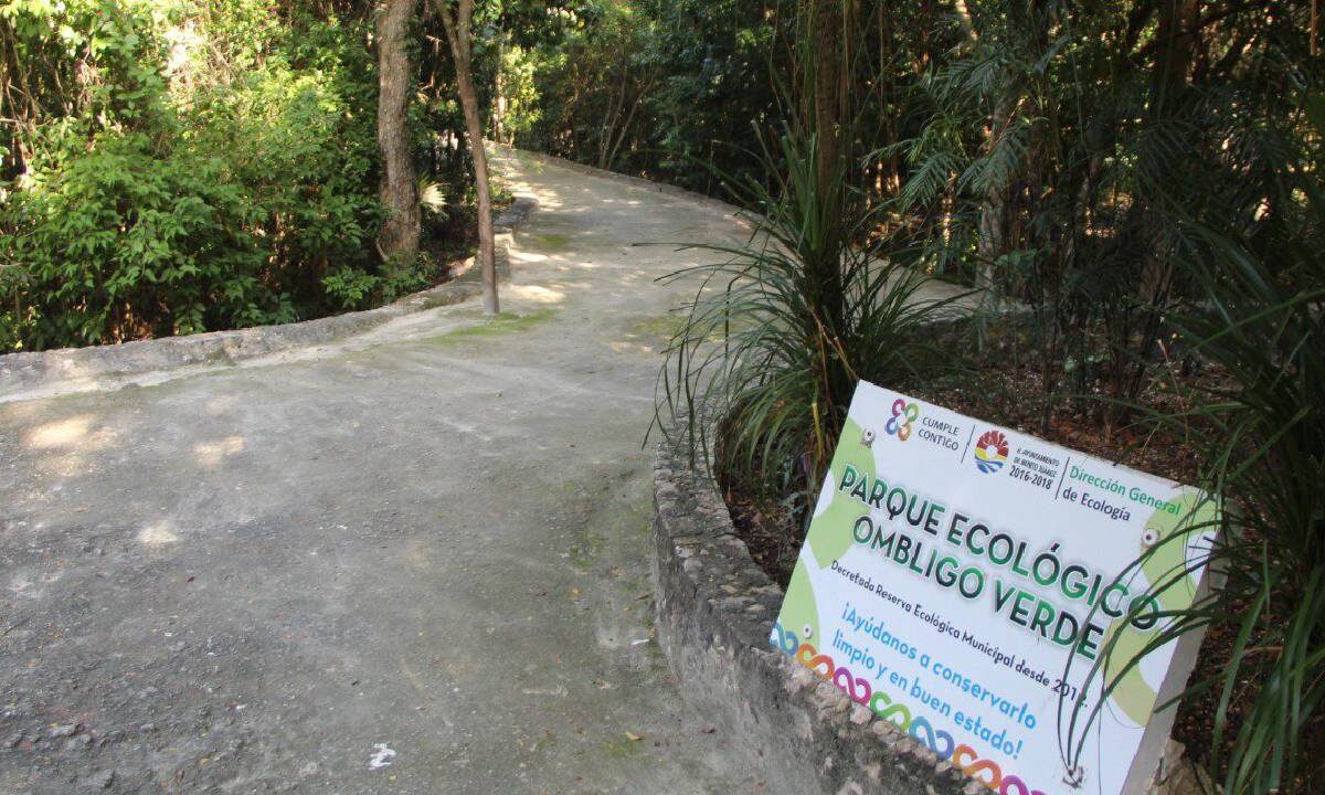 Cancún al día en medio ambiente.