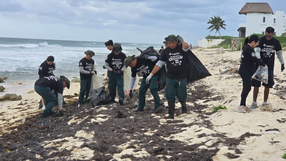 Realizan limpieza en Punta Brava, Puerto Morelos.