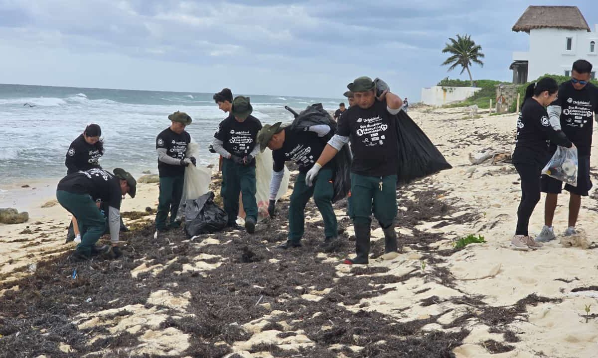 Realizan limpieza en Punta Brava, Puerto Morelos.