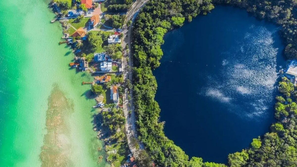 Alarma ante presencia del pez diablo.