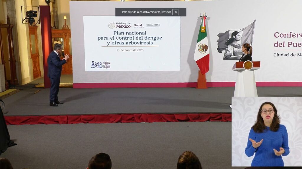 Arranca el Plan Nacional contra el Dengue.