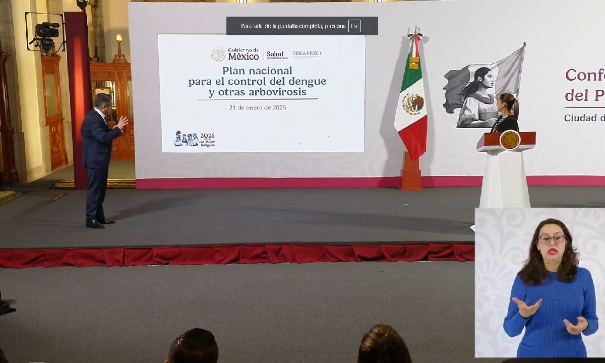 Arranca el Plan Nacional contra el Dengue.