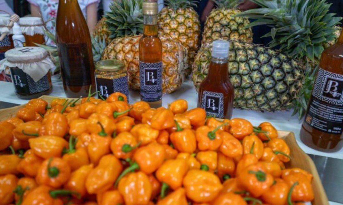 Productos para exportar.