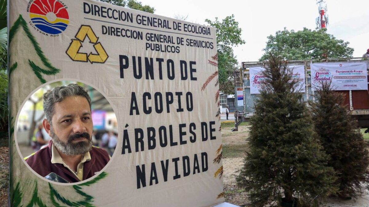 Programa de recolección de árboles de Navidad.