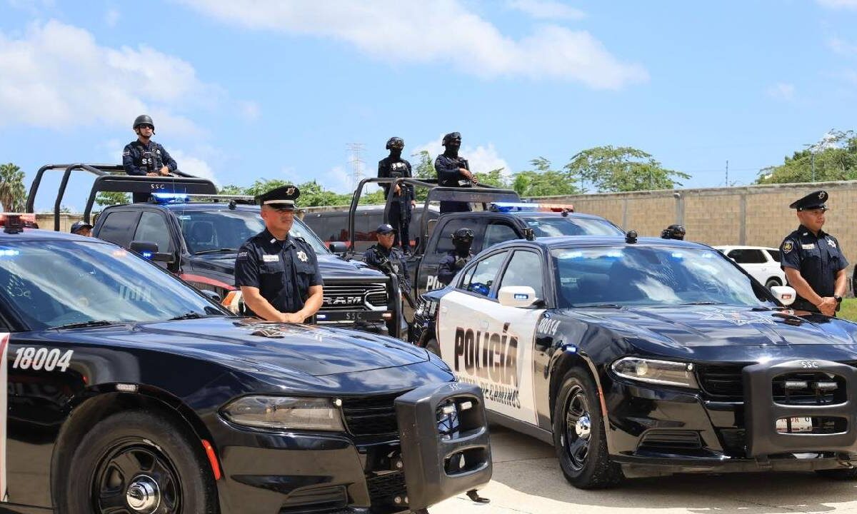 Resultados históricos en combate al crimen.
