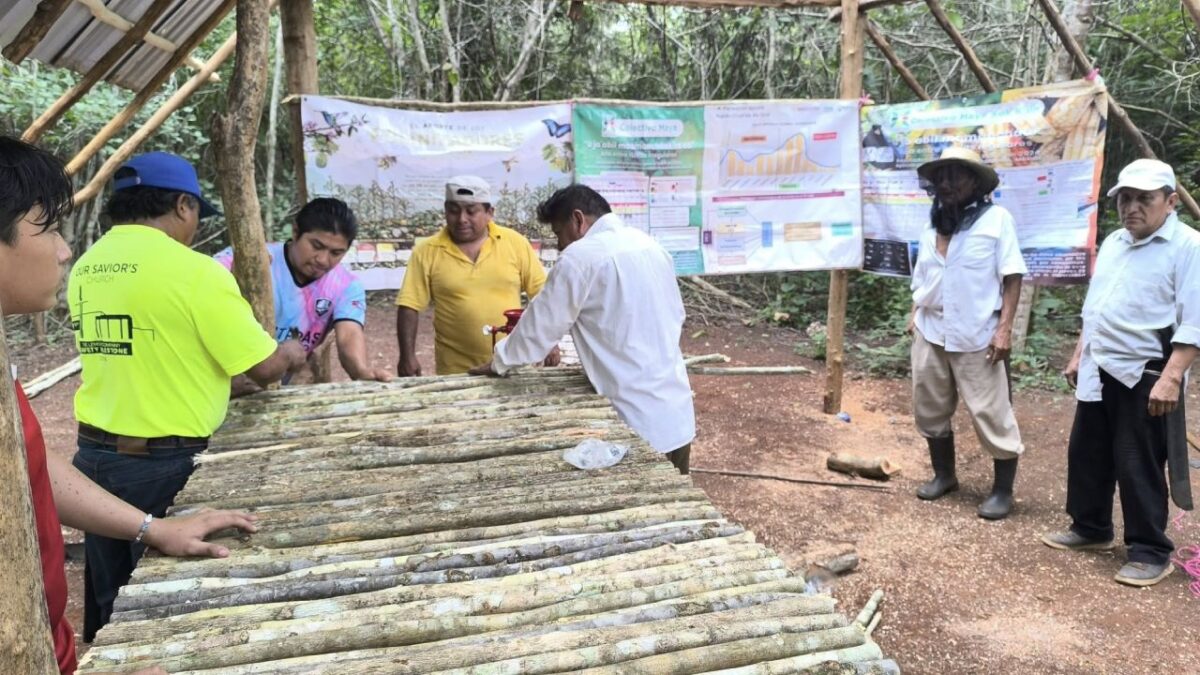 El Xoc K’iin, en Lázaro Cárdenas.
