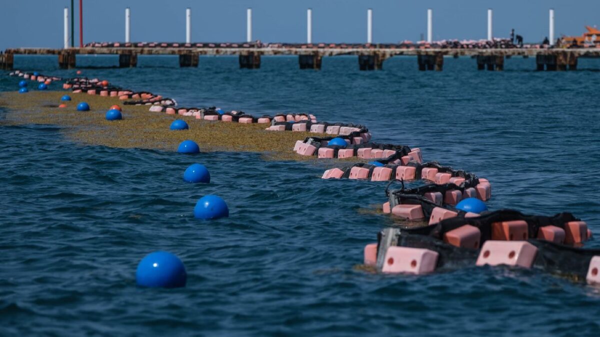 Arrancan preparativos para atender el arribo de sargazo.