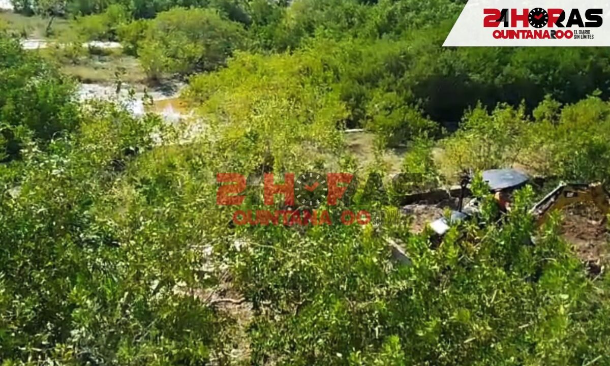 Reserva de Flora y Fauna de Yum Balam.