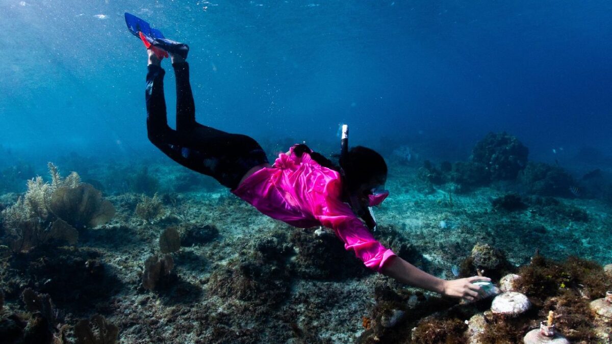 La zona de Chankanaab es celosamente cuidada.