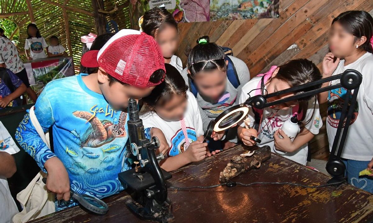 Niños de Cozumel son atendidos para que aprendan más.