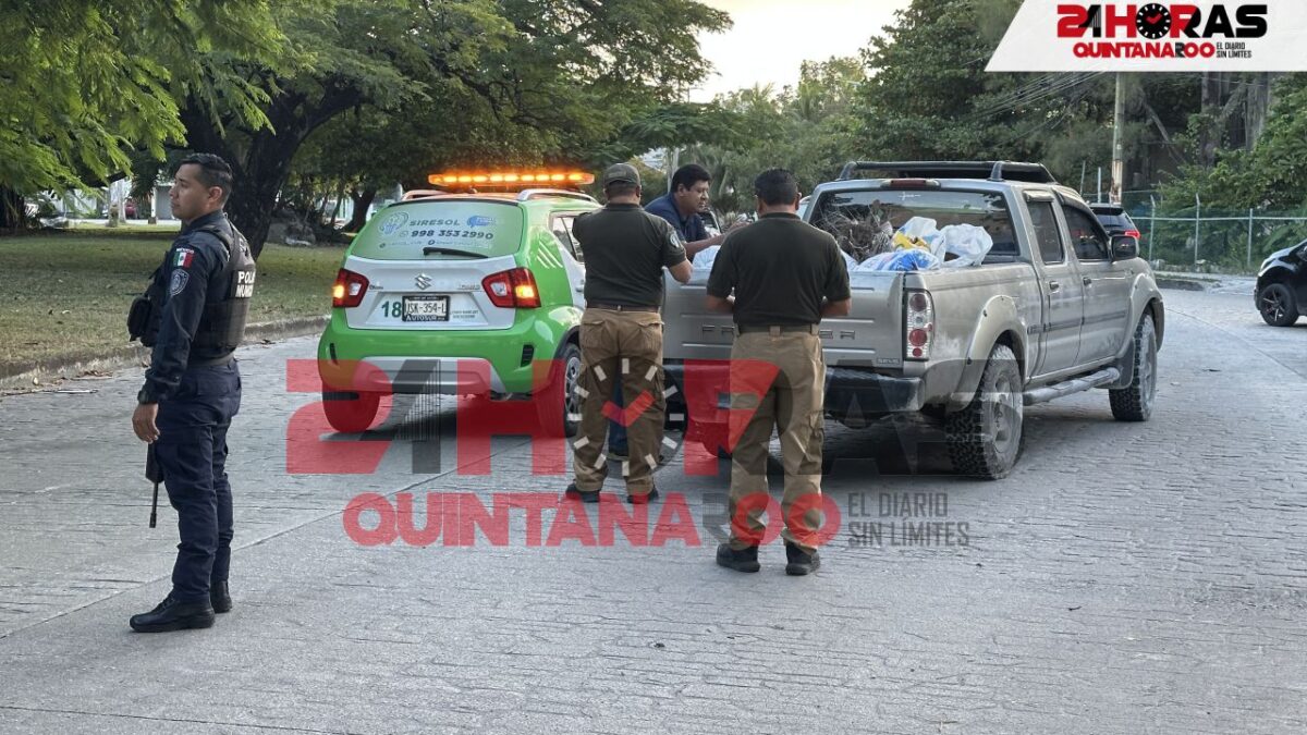 Patrullas Verdes en Cancún.