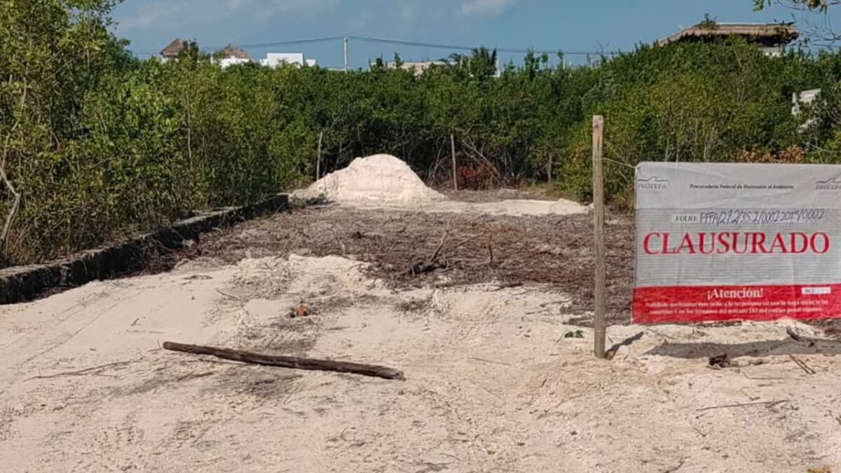 Profepa clausura obre en área natural, en Holbox.