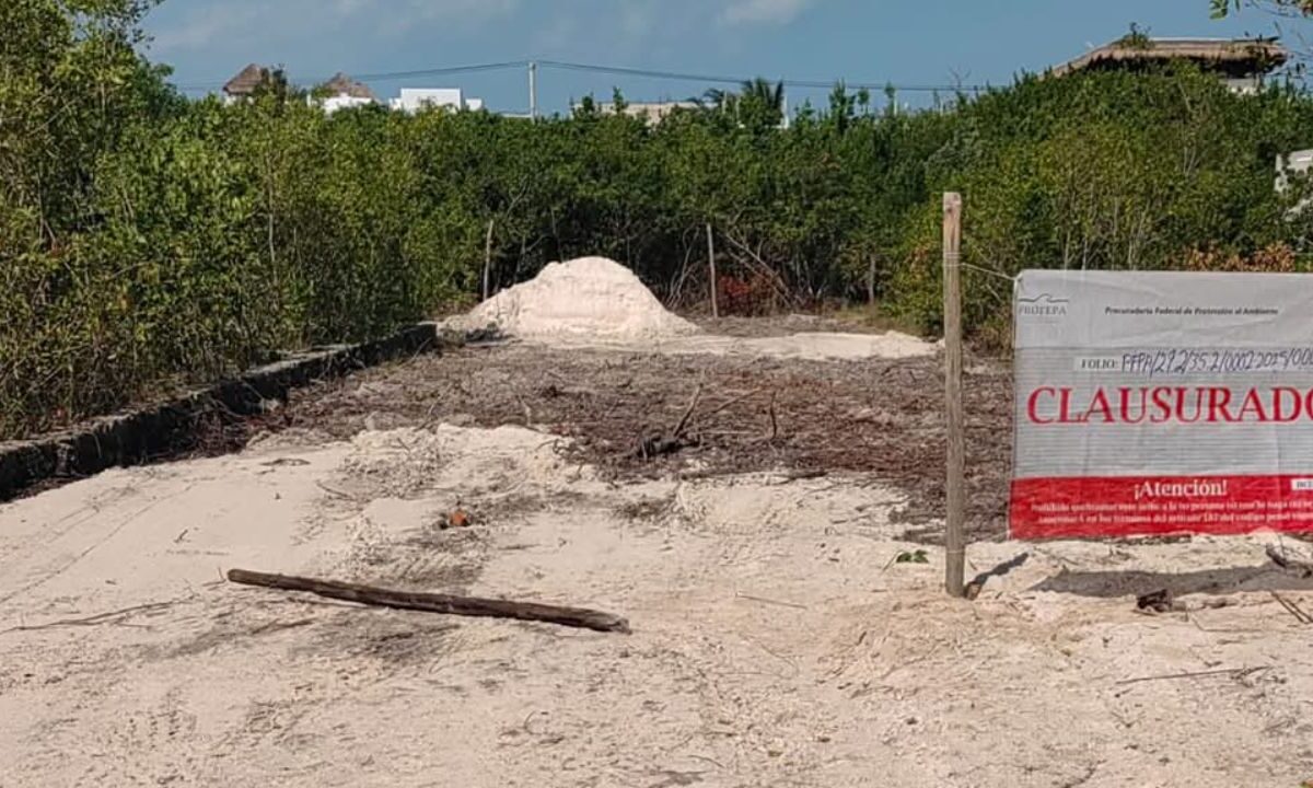 Profepa clausura obre en área natural, en Holbox.