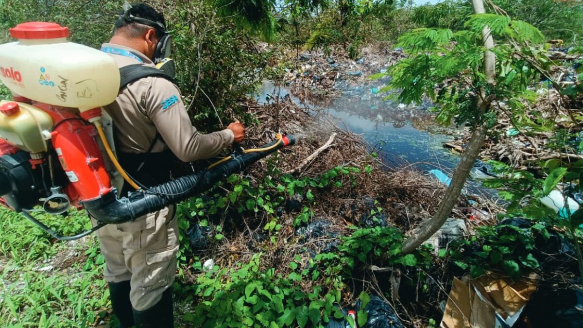 Fumigación para la eliminación de vectores.