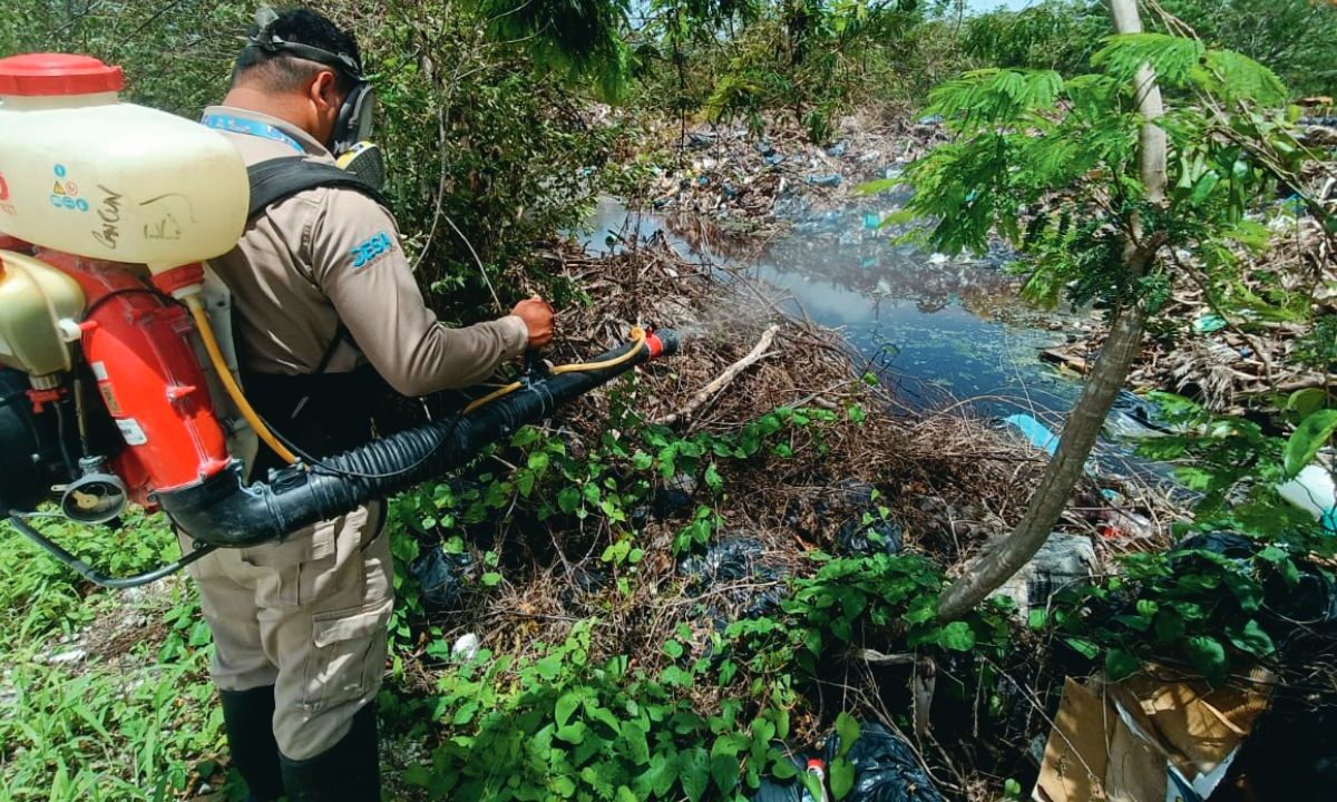 Fumigación para la eliminación de vectores.