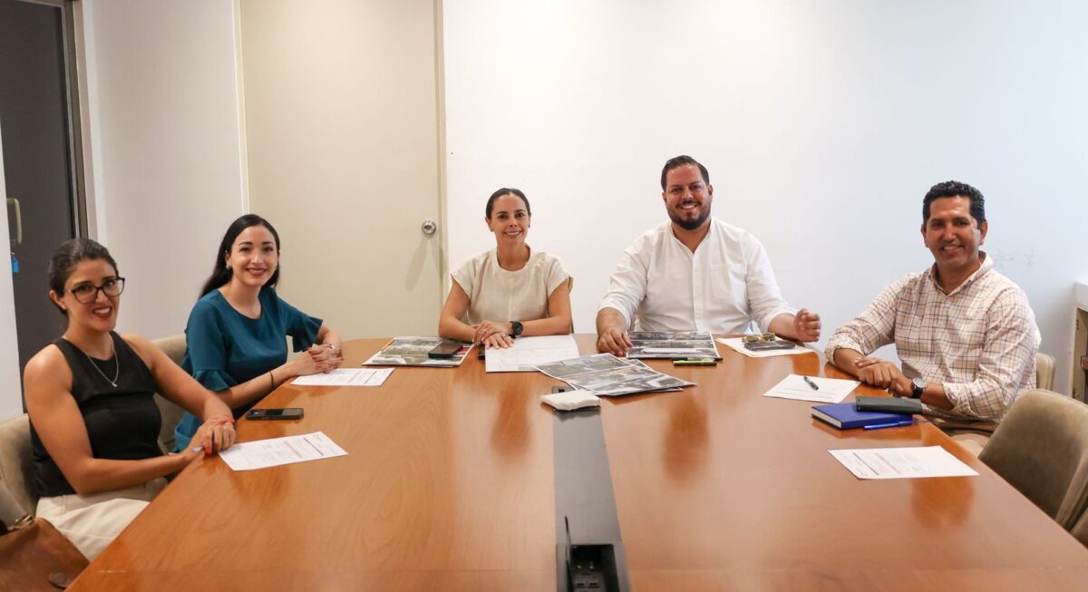 Proyecto Calle Pino
