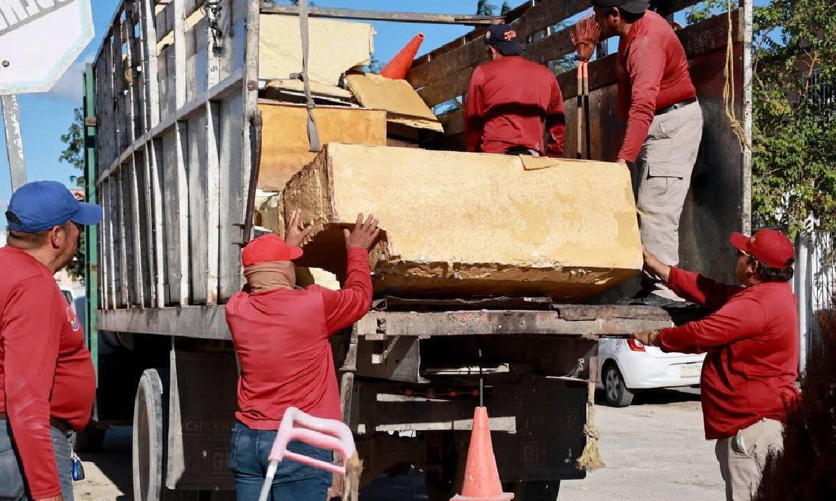 Está listo el calendario de descacharrización.